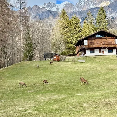 Charme Alpino E Modernita-appartamento Ristrutturato A Due Passi Dal Centro Apartment *